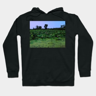 Water Lilies Hoodie